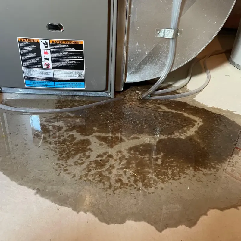 Appliance Leak Cleanup in Bethel, WA